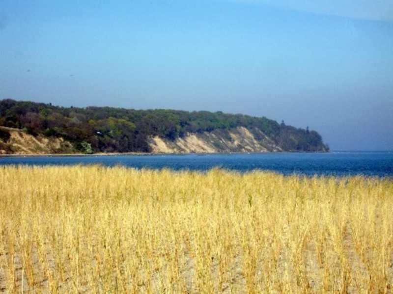 Rügen-Fewo 241 Putbus Exterior foto